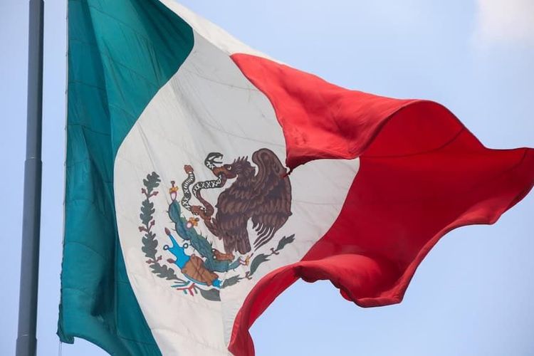 1081681_Bandera-en-el-Zocalo_impreso.jpg