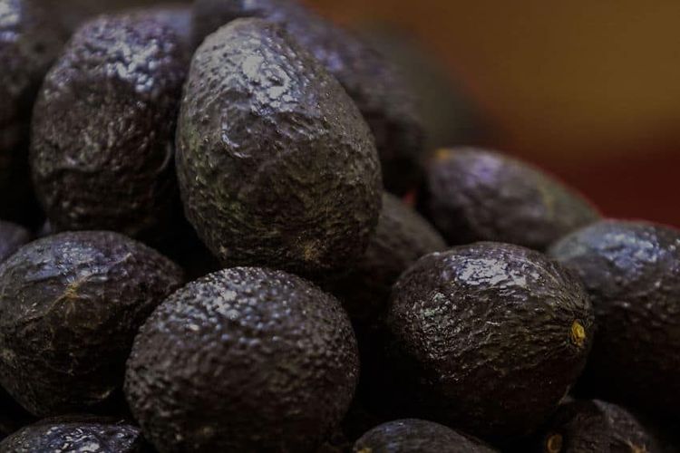 1093950_Aguacate-se-prevee-baja-el-precio_impreso.jpg